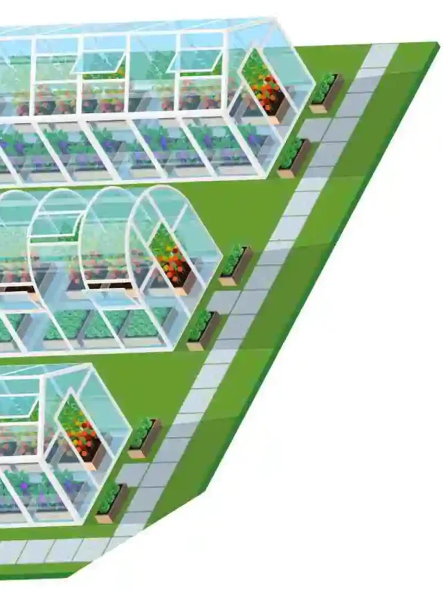 nursery business in india:  plant nursery profit margin in india