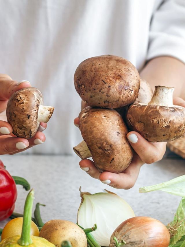Mushroom Farming Business: Easy Step-by-Step Guide to Earn Lakh