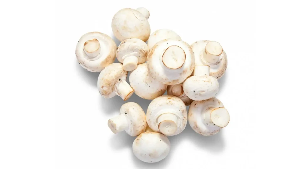 Contract Mushroom Farming