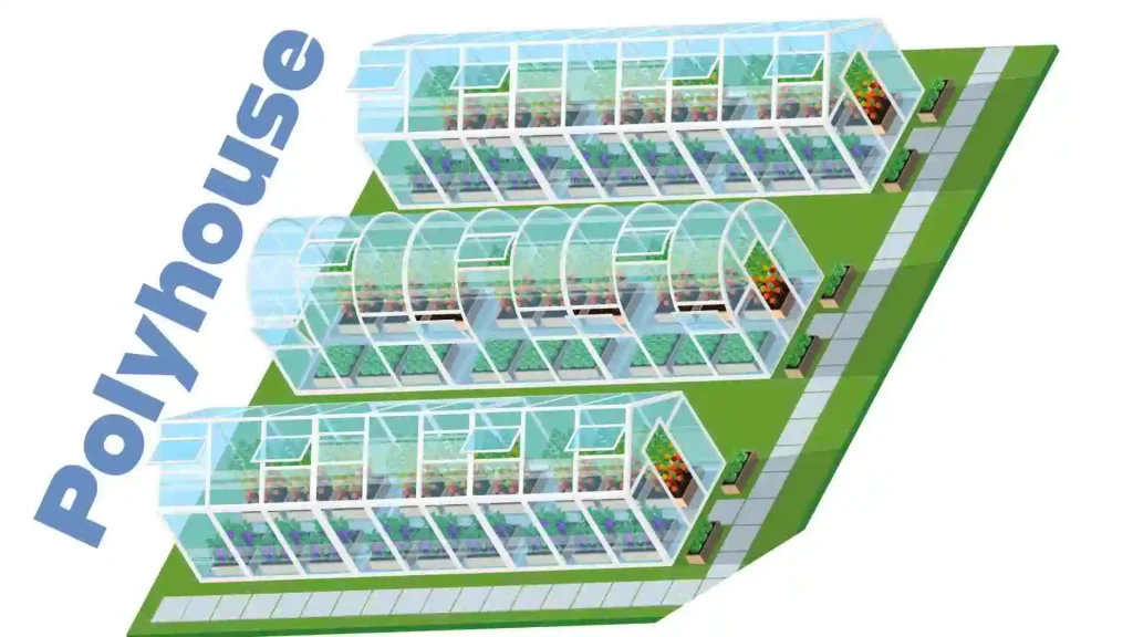 plant nursery profit margin in india