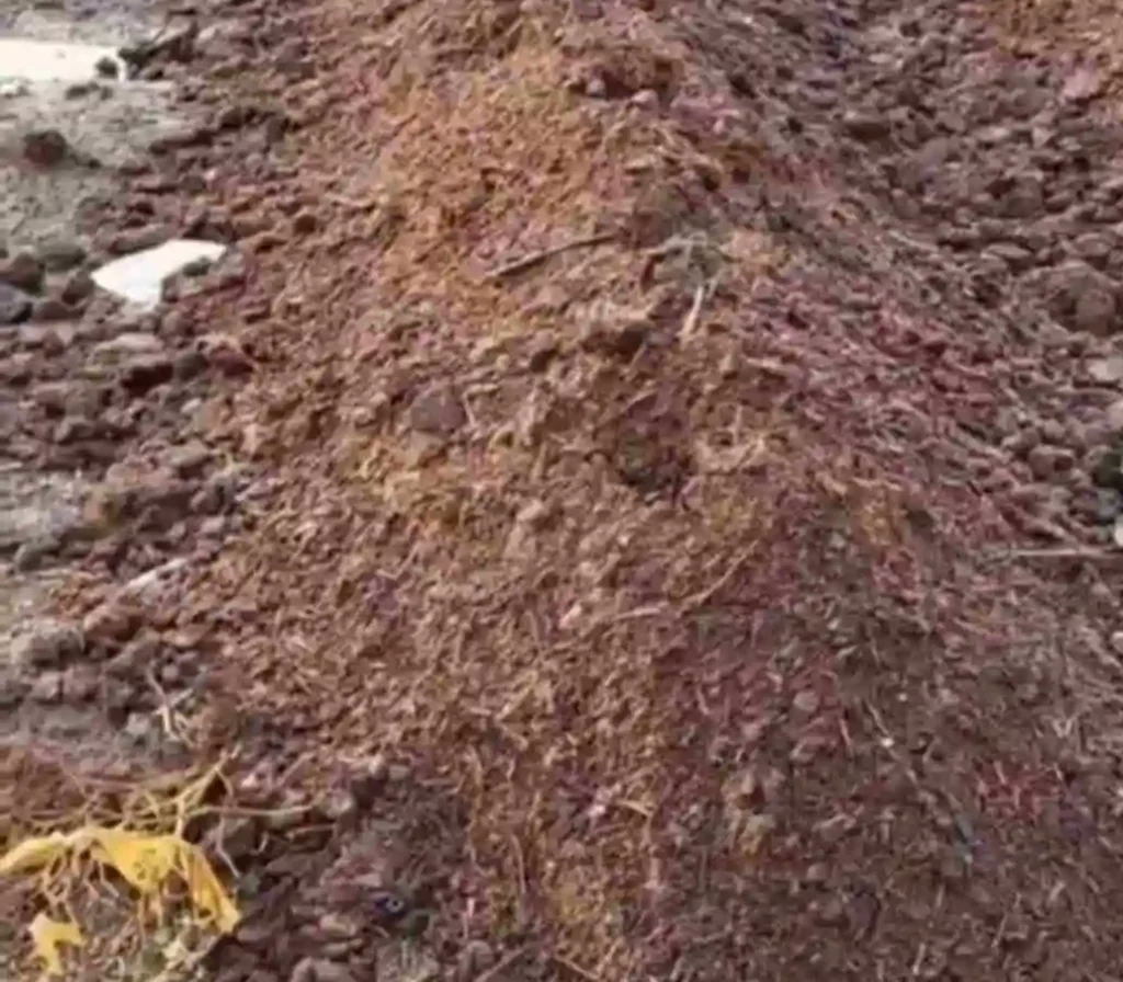 Vermicompost Business Idea